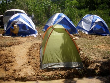 Foram armadas à noite